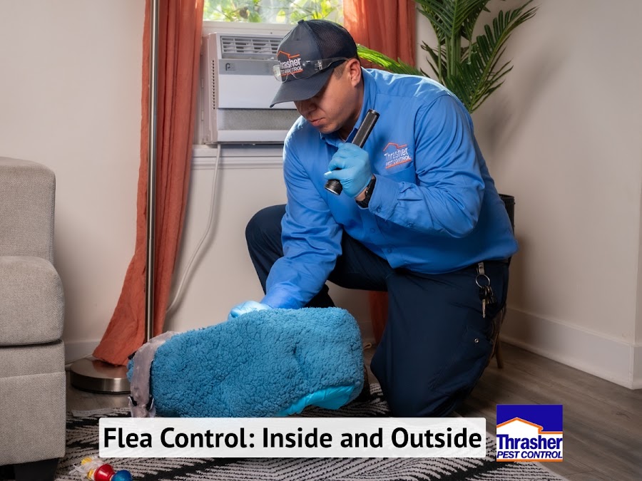 Thrasher Pest Control photo 2